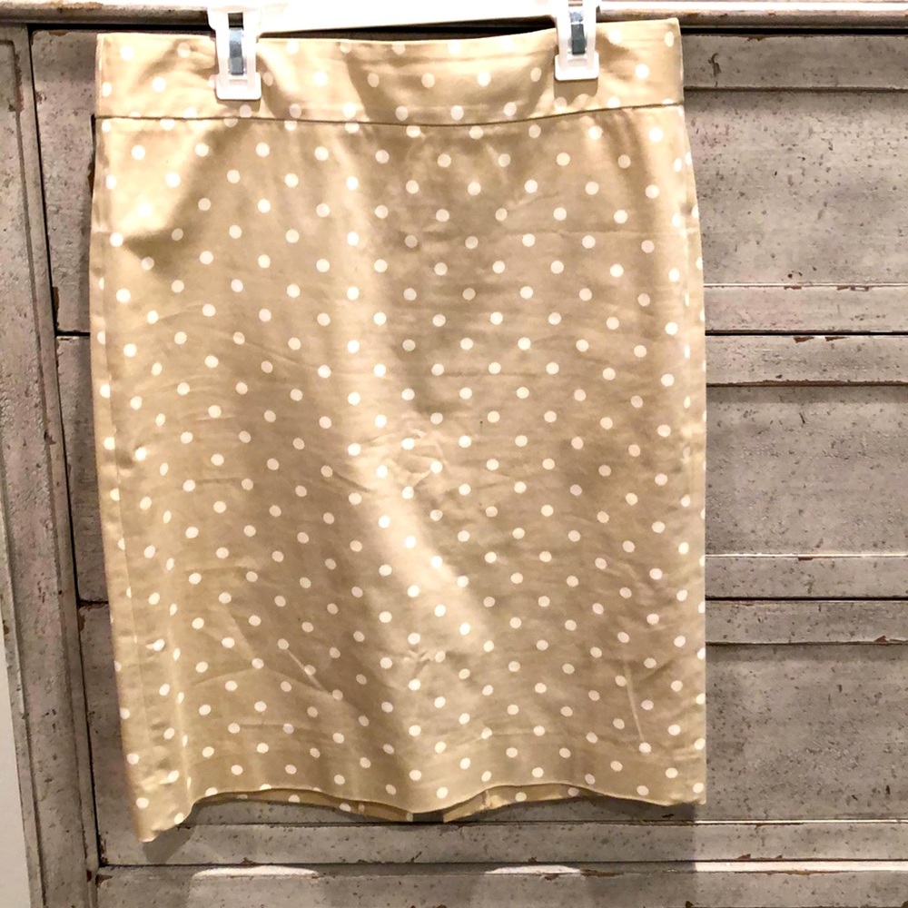 Pencil Skirt